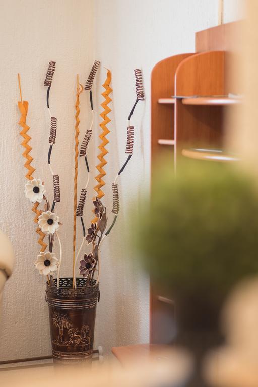 Apartmant & Room Bruna Dreznik Grad Екстер'єр фото